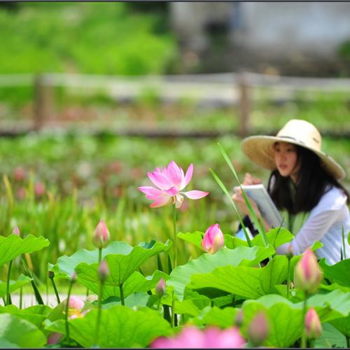 연꽃을 그리는 소녀