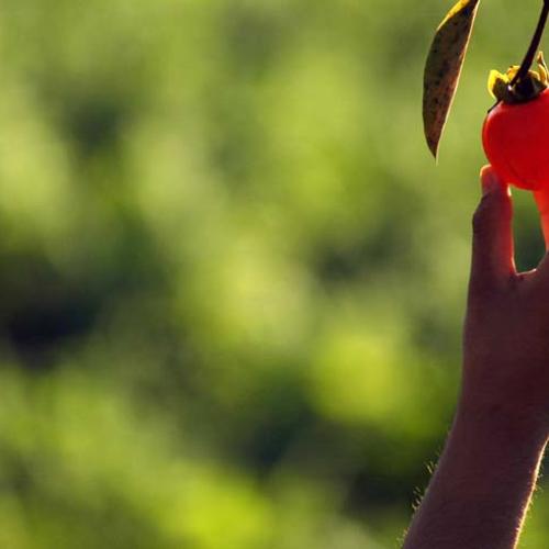 누구의 손일까요?