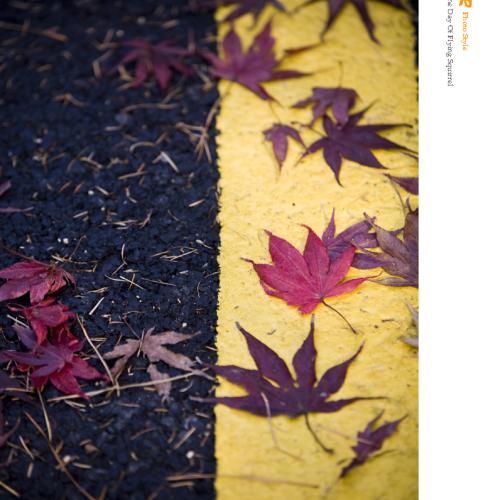 늦가을의 작은풍경