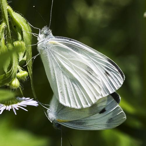 아~~ 아름다운 장면