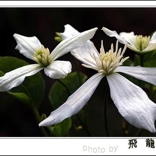 오늘 아침엔29탄(연작)돌발퀴즈 풀어 보세요.