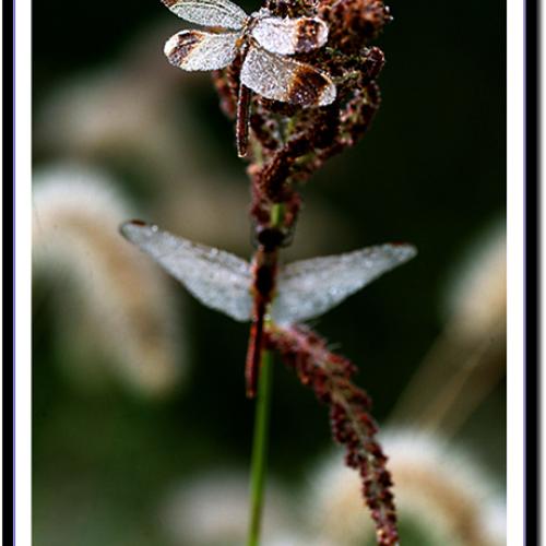 오늘 아침엔115-2탄