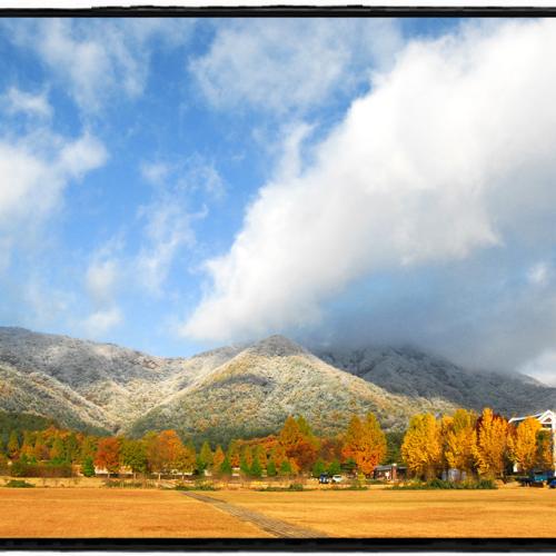 계룡산 단풍 그리고 첫눈