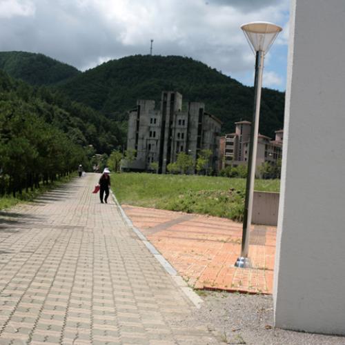 오늘의 일기 (11) - 태백