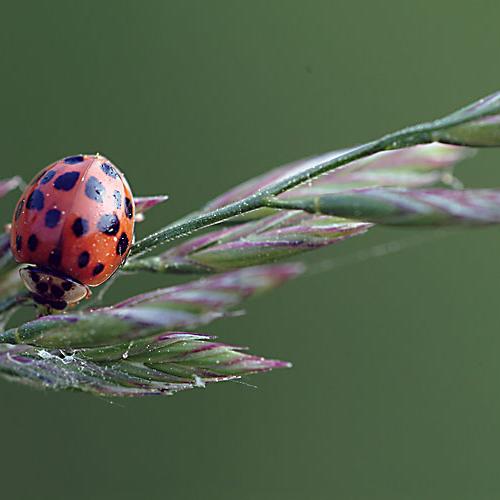 오늘 아침엔168-2탄