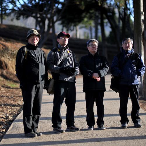 붉은 녹차밭에서...