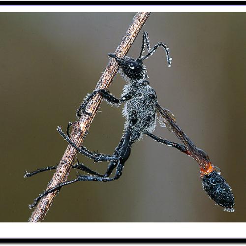 오늘 아침엔115-3탄