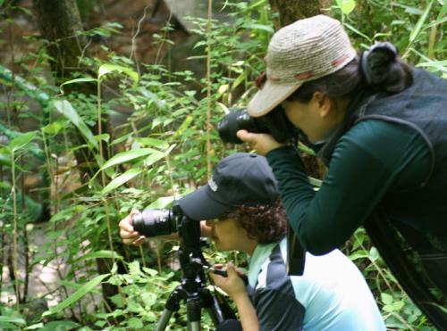 들꽃님과 소리새님