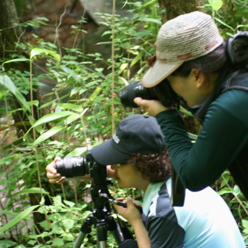 들꽃님과 소리새님