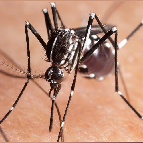 [접사] 가입인증 샷