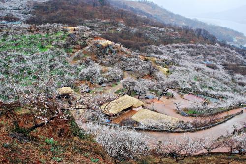 방사능 비속에...II