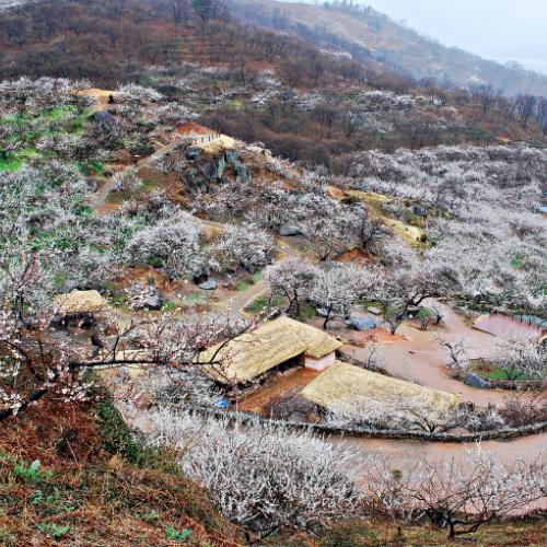 방사능 비속에...II