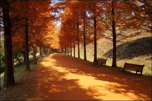 지난 가을 산림박물관