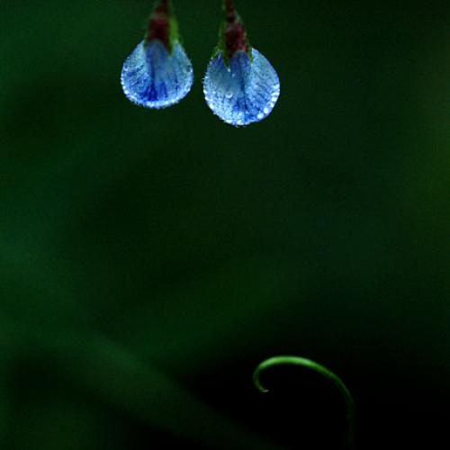 오늘 아침엔169탄