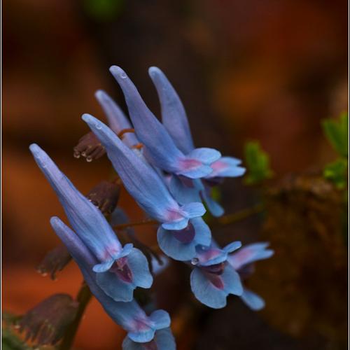 흐린날의 유혹...[연작입니다]