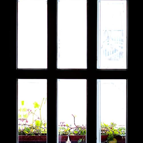 window