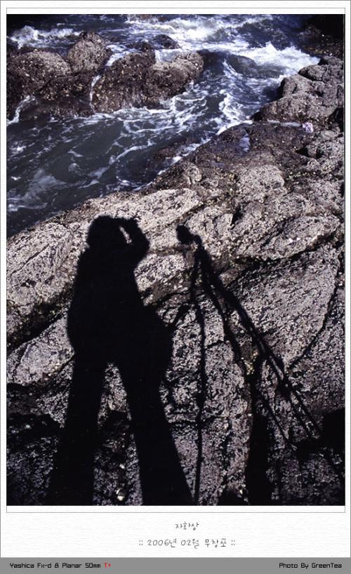 녹차 사진....다들 찍는..