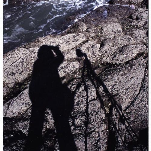 녹차 사진....다들 찍는..