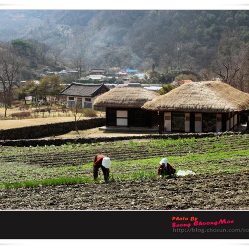 나의 살던 고향