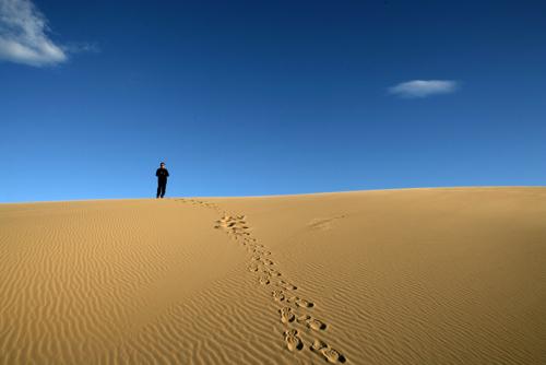 자연을 담고 싶은 포토그레퍼