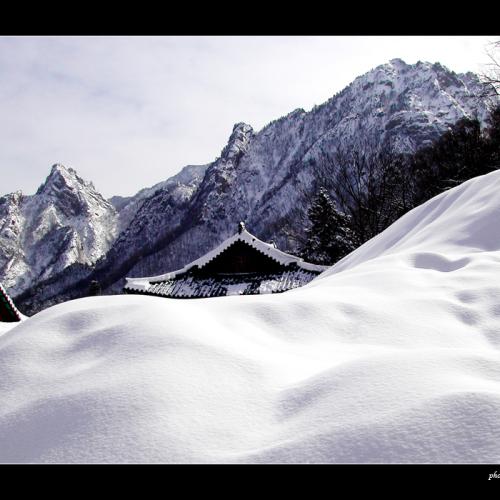 즐거운 성탄과 새해복많이 ^^*