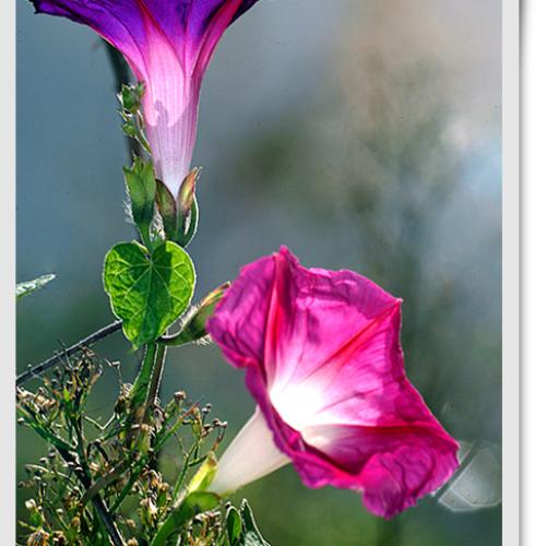 오늘 아침엔113(간첩신고)탄