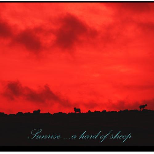 떠오르는 태양을 기다리며...