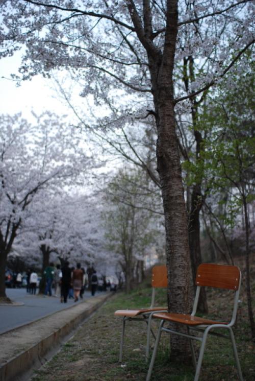 연극이 끝나고 난 뒤