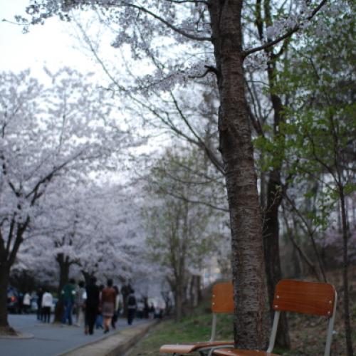 연극이 끝나고 난 뒤