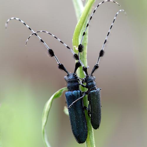 오늘 아침엔169-2탄(이리와 안아줄께)