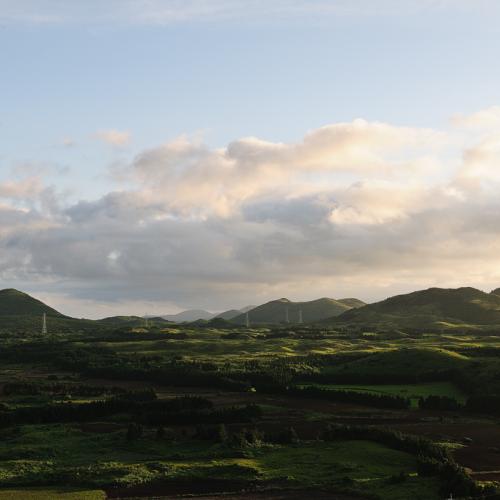 오름이 만들어낸 빛과 그림자