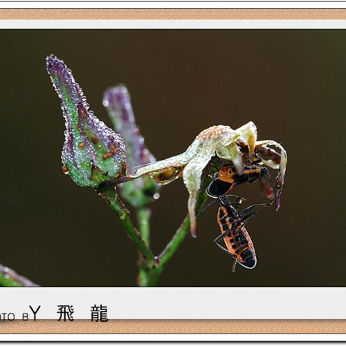 오늘 아침엔116탄