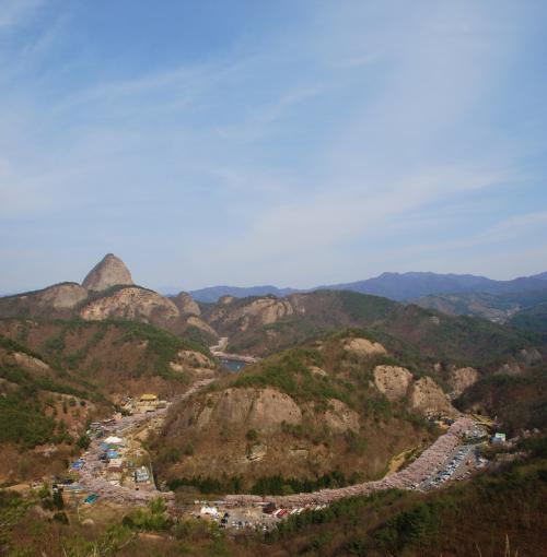 마이산 십리벚꽃길