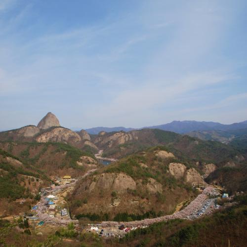 마이산 십리벚꽃길