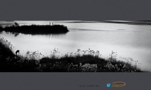 그 자리에엔 늘...