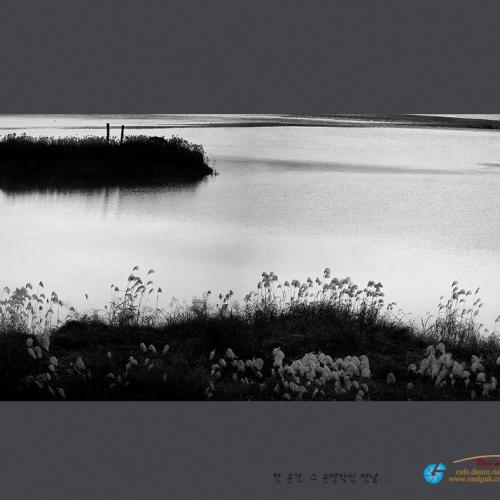 그 자리에엔 늘...