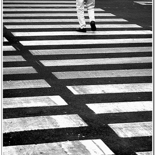 뒷모습에서도 삶이....