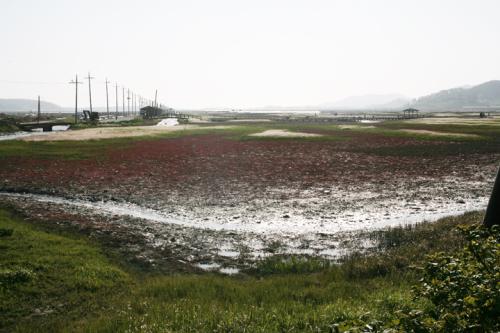 염전 풍경