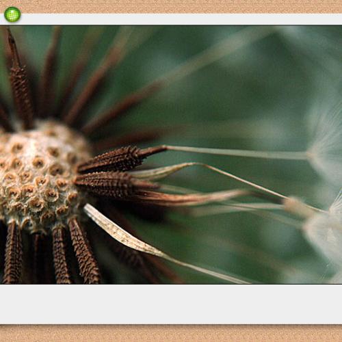 오늘 아침엔 34탄(연작)