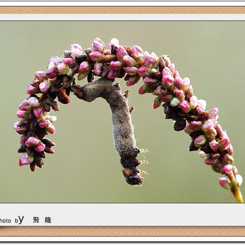 오늘 아침엔116-2탄