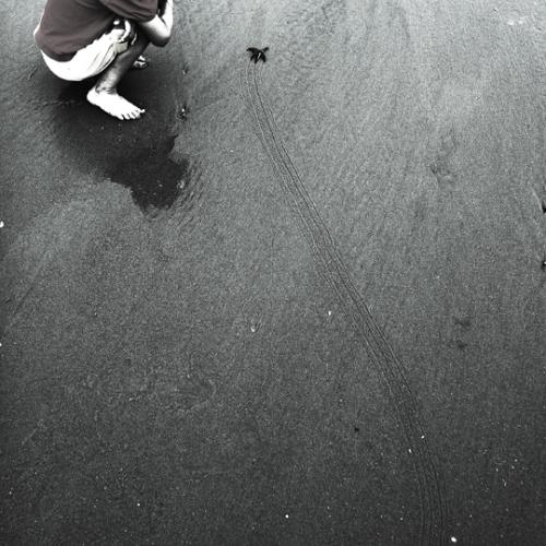 바다로 가는길...