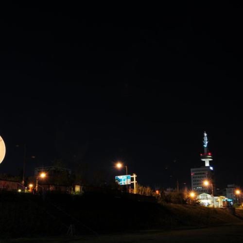 대전 엑스포 다리...