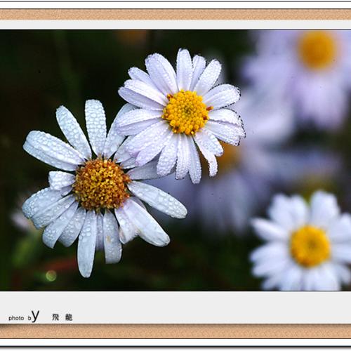 오늘 아침엔116-3탄