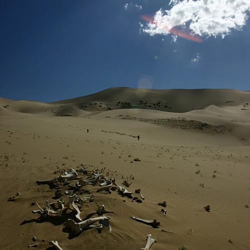 제2회 전시회 개인별 작품 - 세번째