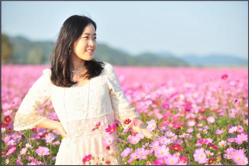 코스모스 만발한 날에