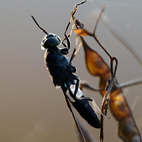 오늘 아침엔117탄