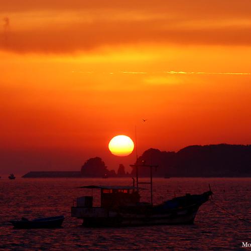 왜목마을 일출과 그후에 < With BGM>