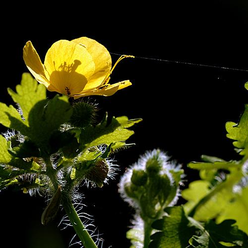 예전 아침에3탄(빛)