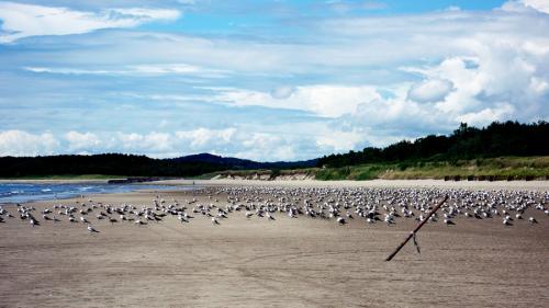 오늘 사진 중에 제일 후진 사진..