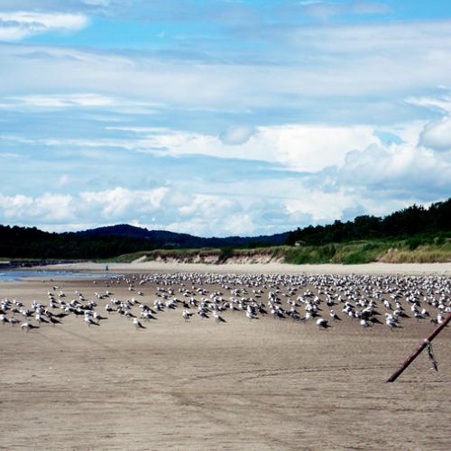오늘 사진 중에 제일 후진 사진..